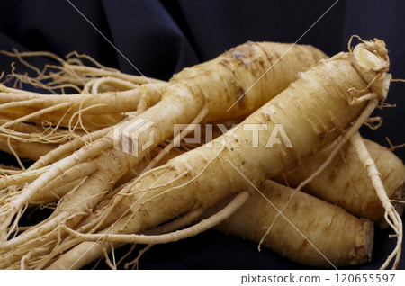 很多人參 120655597