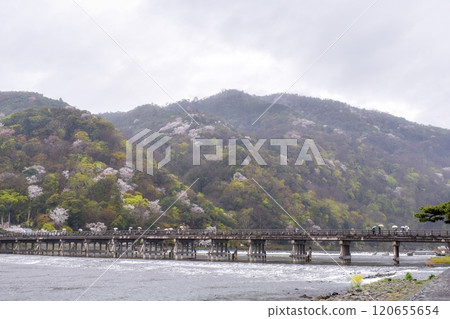 【春天京都觀光】嵯嵨嵐山、小倉山【花灑雨、渡輪橋】 【春天京都觀光】嵯嵨嵐山、小倉山【花灑雨、渡輪橋】 120655654