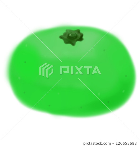 Green citrus 120655688
