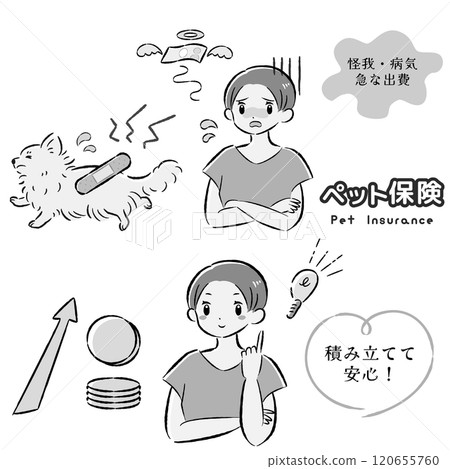 一隻受傷的狗及其難以支付治療費用的女主人的插圖集 120655760