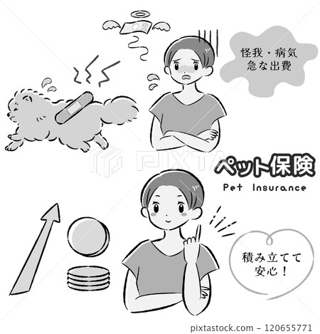 一隻受傷的狗及其難以支付治療費用的女主人的插圖集 120655771