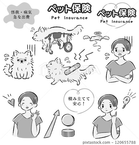 Illustration set of dog pet insurance image and female owner 120655788
