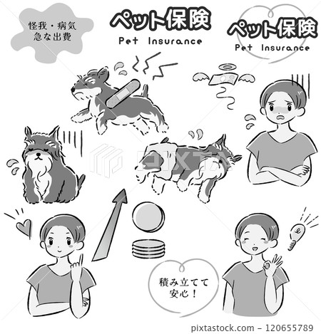 Illustration set of dog pet insurance image and female owner 120655789