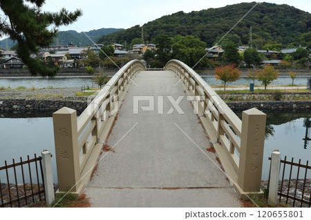 Tachibana Bridge spanning Tachibanajima, an island in the Uji River (Uji City, Kyoto Prefecture) 120655801