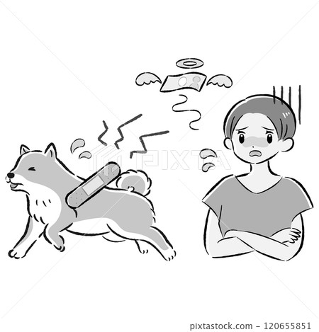 Illustration set of an injured dog and a worried female owner 120655851