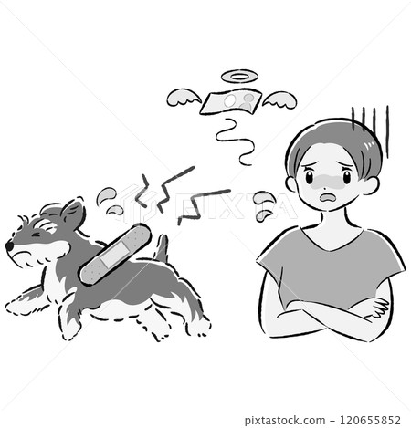 Illustration set of an injured dog and a worried female owner 120655852