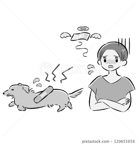 一隻受傷的狗和一位憂心忡忡的女主人的插圖集 一隻受傷的狗和一位憂心忡忡的女主人的插圖集 120655858