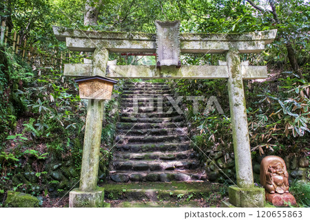 Mount Takao, Jataki Course, along the hiking trail, Chiyoda Inari Shrine 120655863