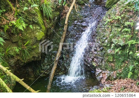 高尾山，Jataki路線，沿著山路，小布岳川的源頭 120655864