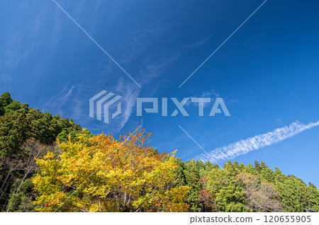 Autumn scenery of Mount Kurama, Kyoto City 120655905