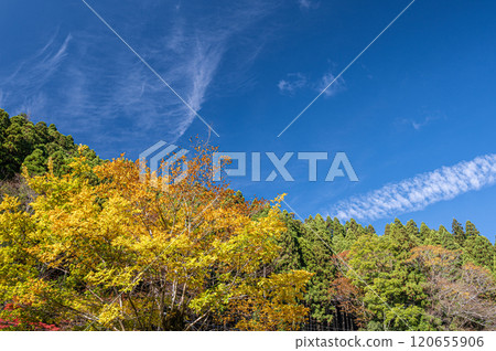 Autumn scenery of Mount Kurama, Kyoto City 120655906