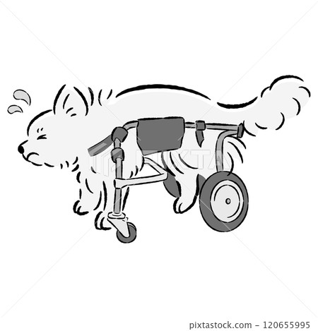 Illustration of a dog with a troubled expression wearing a dog wheelchair 120655995