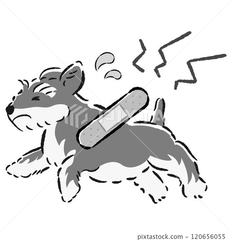 一隻受傷的狗狗表情困擾的插圖 一隻受傷的狗狗表情困擾的插圖 120656055