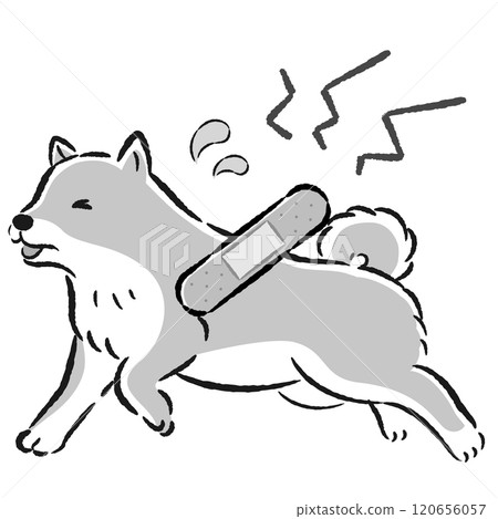 Illustration of an injured dog with a troubled expression 120656057
