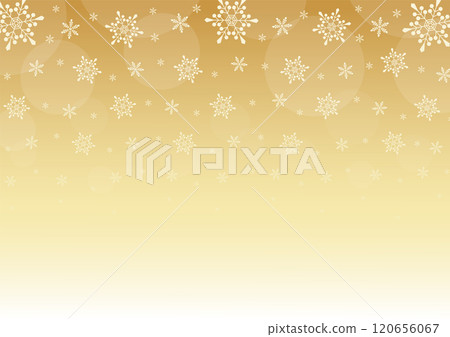 下雪的冬天森林風景圖_金 下雪的冬天森林風景圖_金 120656067