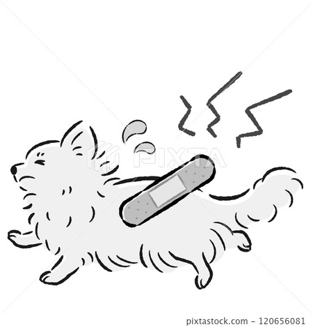 一隻受傷的狗狗表情困擾的插圖 120656081