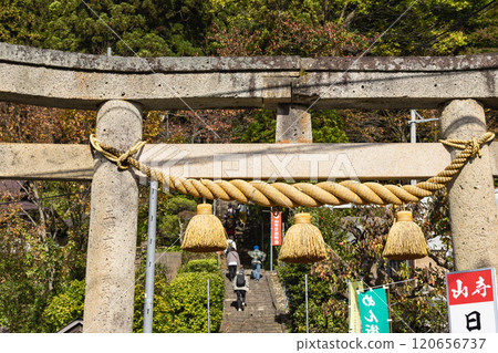 Torii gate and drum-shaped shimenawa at Hie Shrine on Mount Hoshu 120656737