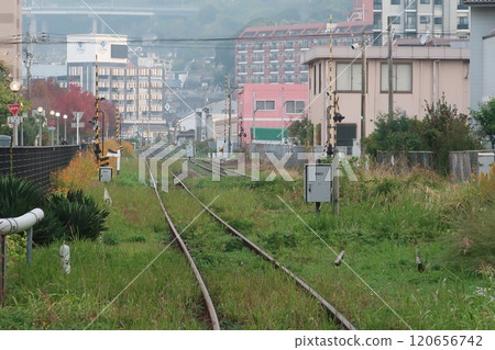 Landscape with tracks Landscape with tracks 120656742