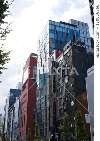 銀座的街道 120656866