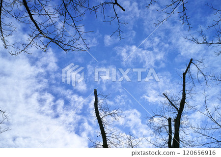 Blue sky and cloud image 120656916