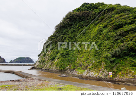 The dynamic topography and strata of Nakagihama. The columnar joints formed by the cooling of volcanic lava are clearly visible. 2024 120657056