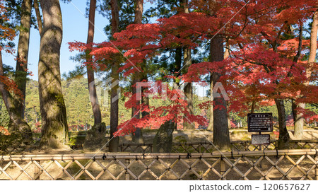 Autumn at the World Heritage Site Motsuji Temple, Matsuo Basho Haiku Monument, Iwate Prefecture 120657627