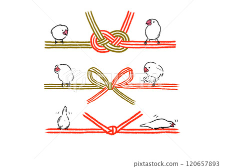 Mizuhiki set of Java sparrows 120657893