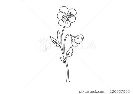 Continuous one line drawing beauty fresh violet hybrid plant for home art wall decor print poster. Printable decorative pansy flower for green park. Single line draw design vector graphic illustration 120657903