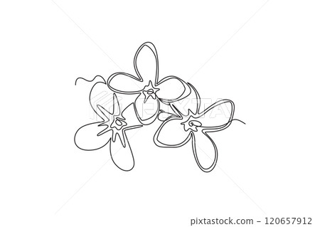 Single continuous line drawing beauty fresh syringa vulgaris for garden logo. Printable decorative lilac flower concept for home decor wall art poster. One line draw graphic design vector illustration Single continuous line drawing beauty fresh syringa vulgaris for garden logo. Printable decorative lilac flower concept for home decor wall art poster. One line draw graphic design vector illustration 120657912