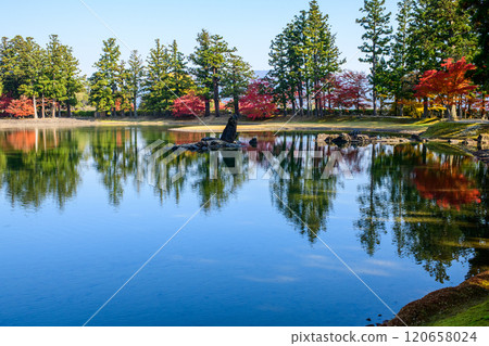 Beautiful autumn foliage at the Pure Land garden of Motsuji Temple, Oizumigaike Pond, Iwate Prefecture Beautiful autumn foliage at the Pure Land garden of Motsuji Temple, Oizumigaike Pond, Iwate Prefecture 120658024