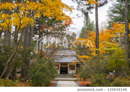 Autumn at Koyasan Reihokan Autumn at Koyasan Reihokan 120658140