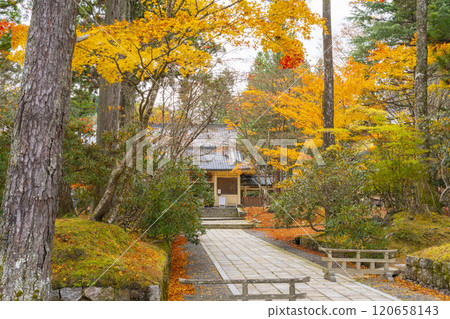 秋天的高野山靈峰館 120658143