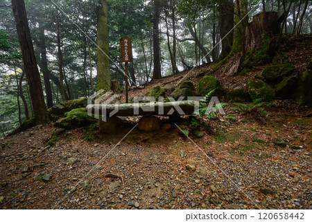 Motoise Naiku Imperial Shrine, Money Ringing Stone 120658442