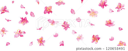 水彩。櫻花向量背景與水彩風格。櫻花的日式背景。梅花手繪向量圖。奢華日式風格 120658491