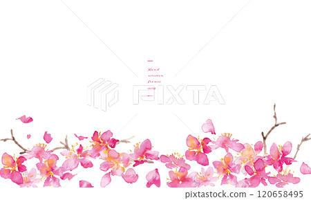 Watercolor painting. Vector background of cherry blossoms with a watercolor touch. Japanese-style background of cherry blossoms. Hand-drawn vector illustration of plum blossoms. Luxurious Japanese style 120658495