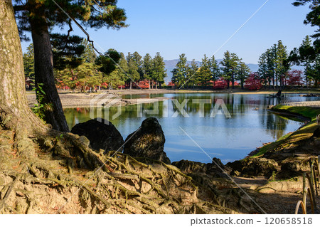 毛越寺的秋天,特別的風景勝地,岩手縣月山和大泉池 毛越寺的秋天,特別的風景勝地,岩手縣月山和大泉池 120658518