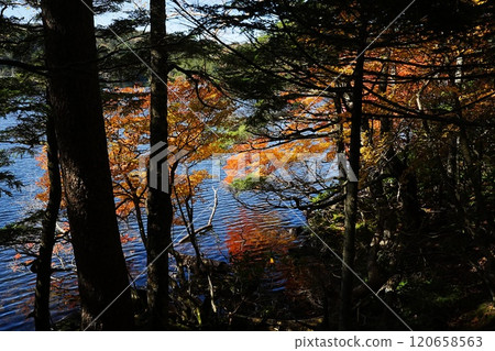 241020 Shirakome Pond 120658563