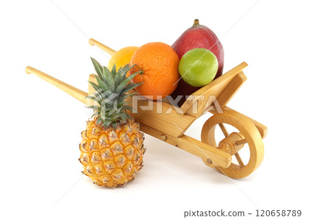 Wooden Cart Displaying Fresh Tropical and Citrus Fruits 120658789