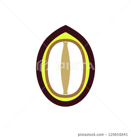 Structure of seeds such as Job's tears (conceptual diagram) Structure of seeds such as Job's tears (conceptual diagram) 120658841