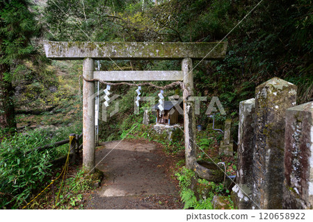 Torii gate of Amano Iwato Shrine (Iwatoyama), one of the three former Ise shrines Torii gate of Amano Iwato Shrine (Iwatoyama), one of the three former Ise shrines 120658922