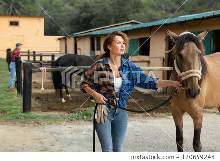 Woman owner of horse leads animal by bridle on street, walks it in street paddock Woman owner of horse leads animal by bridle on street, walks it in street paddock 120659243