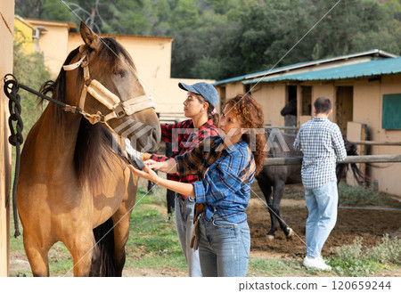 Two female workers in plaid shirt combs tethered horse in stable. Two female workers in plaid shirt combs tethered horse in stable. 120659244