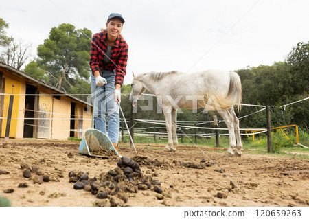Girl worker scoops horse droppings into shovel and cleans up cattle 120659263