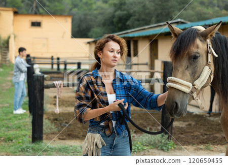 Positive female jockey in plaid shirt and gloves walking horse in paddock at stable Positive female jockey in plaid shirt and gloves walking horse in paddock at stable 120659455
