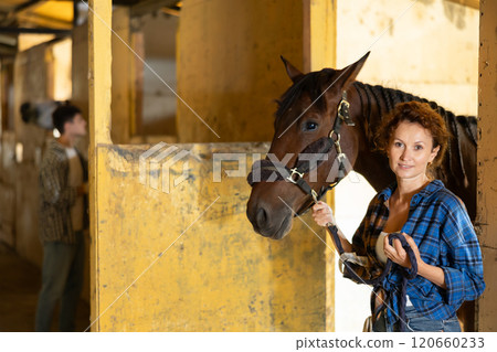 Female owner of horse takes animal out of stall, holds bridle and forces it to follow her 120660233