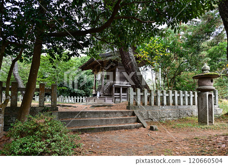 Amanohashidate Shrine Amanohashidate Shrine 120660504