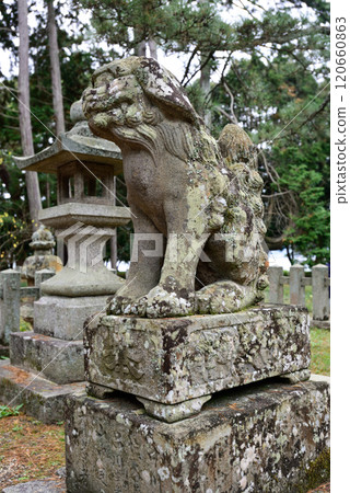 Amanohashidate Shrine Guardian Dogs 120660863