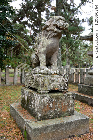 Amanohashidate Shrine Guardian Dogs Amanohashidate Shrine Guardian Dogs 120660864