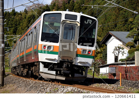 Four 211 series local trains running on the Shinetsu Main Line 120661411