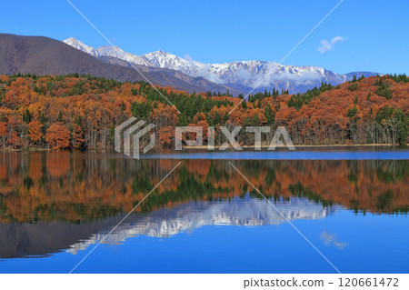 Lake Aoki in late autumn and Hakuba Miyama Lake Aoki in late autumn and Hakuba Miyama 120661472